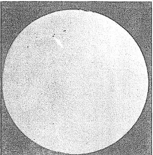 針狀聚集物，如圖1所示